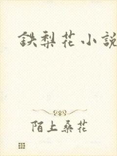 铁梨花小说
