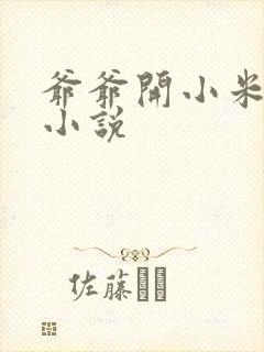 爷爷开小米的包小说