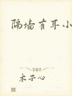 隔墙有耳小说封面