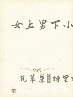 女上男下小说