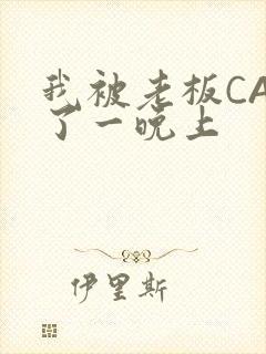 我被老板CAO了一晚上