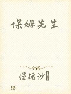 保姆先生封面