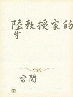 陆教授家的小月牙