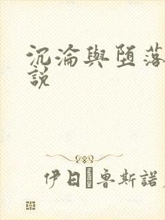 沉沦与堕落的小说