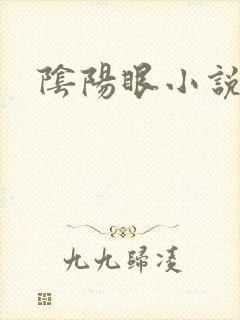 阴阳眼小说