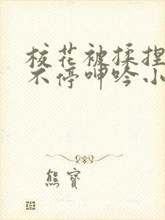 校花被揉捏两乳不停呻吟小说封面