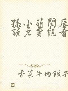 孙小萌闫辰的小说免费观看封面