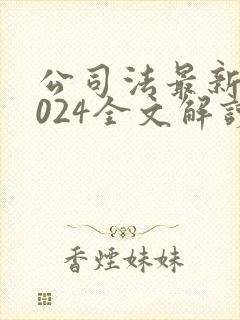 公司法最新版2024全文解读