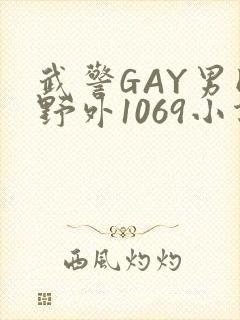 武警GAY男同野外1069小说封面