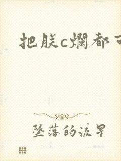 把朕c烂都可以封面