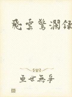 飞云惊澜录