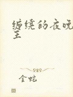 缠绕的夜晚双男主封面