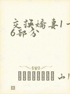 交换娇妻1一36部分