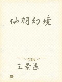 仙羽幻境封面
