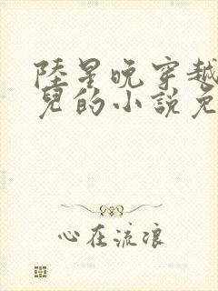 陆星晚穿越成婴儿的小说免费阅读全文