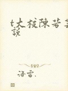 t大校陈若芸小说封面