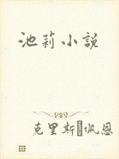 池莉小说