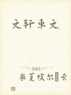 文轩车文