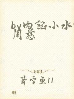 by肉馅小水饺周慈封面