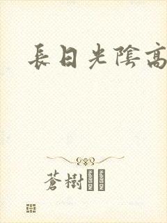 长日光阴高h封面