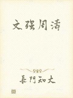 文强周涛