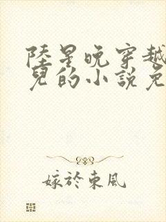 陆星晚穿越成婴儿的小说免费阅读全文