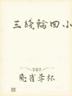 三线轮回小说