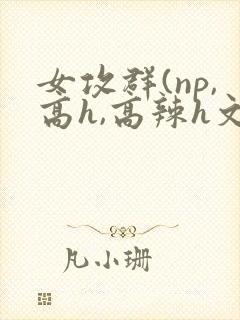女攻群(np,高h,高辣h文)