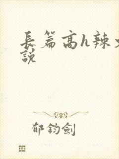 长篇高h辣文小说