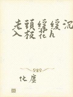 老头缓缓沉腰进入校花h