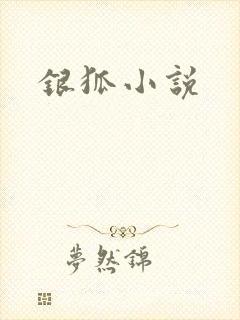 银狐小说