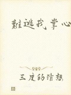 难逃我掌心封面