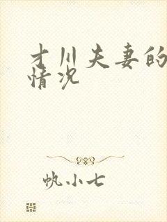 才川夫妻的恋爱情况