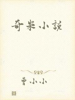 奇米小说封面