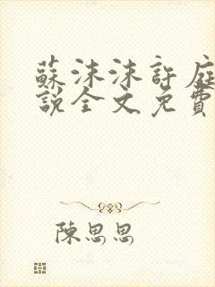 苏沫沫许庭川小说全文免费阅读