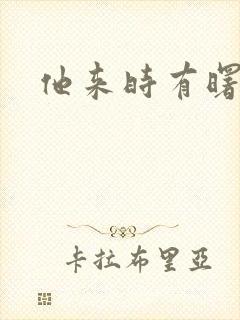 他来时有曙光封面