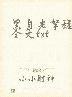 黑月光拿稳小说全文txt封面