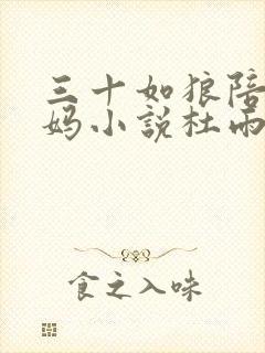 三十如狼陪读妈妈小说杜雨馨封面