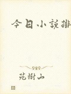 今日小说排行榜封面