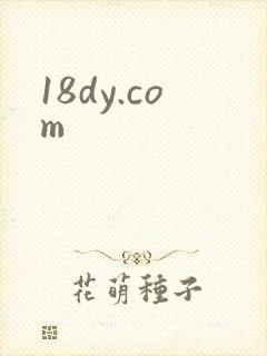 18dy.com