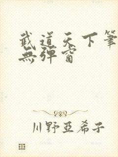 武道天下笔趣阁无弹窗