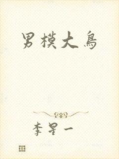 男模大鸟封面