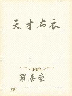 天才布衣封面