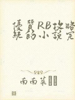 优质RB攻略系统的小说完整版封面