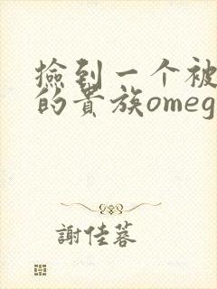 捡到一个被抹布的贵族omega