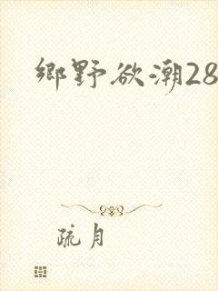 乡野欲潮28章