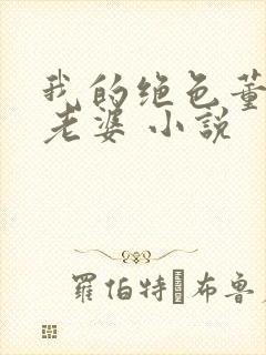 我的绝色董事长老婆 小说