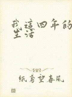 我这四年的奴隶生活封面