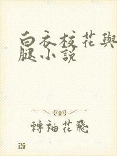 白衣校花与大长腿小说封面