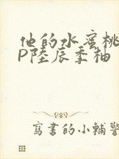 他的水蜜桃POP陆辰季柚